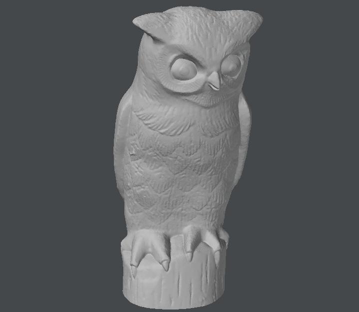 Grumpy Owl
