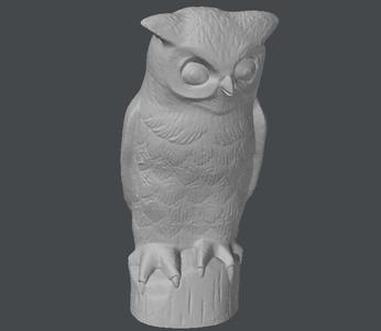 Grumpy Owl