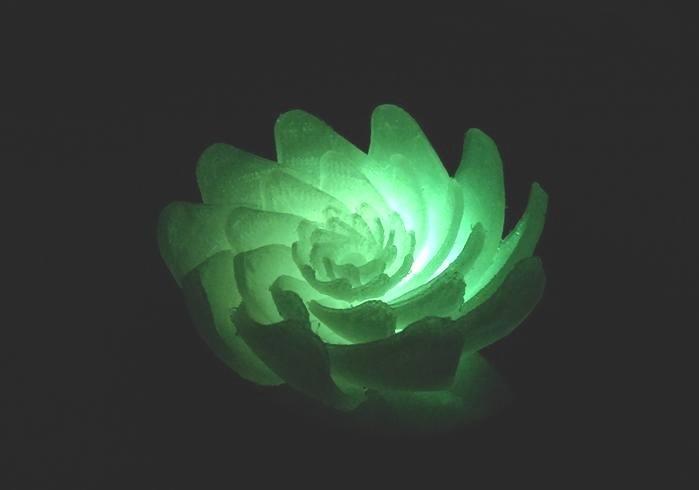 Lotus-like flower