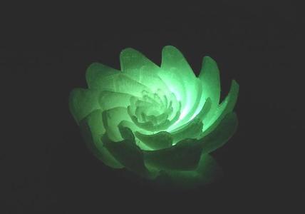 Lotus-like flower