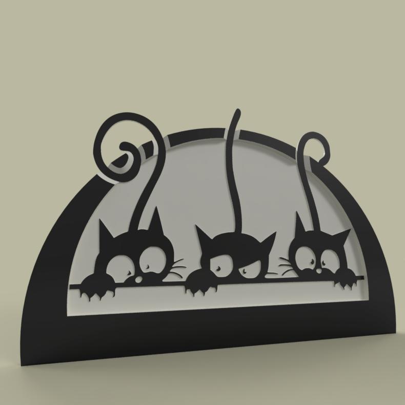 chatons - kitten
