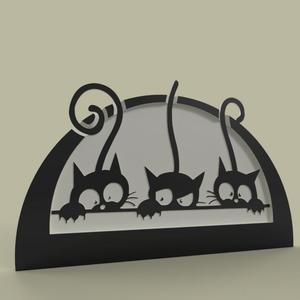 chatons - kitten