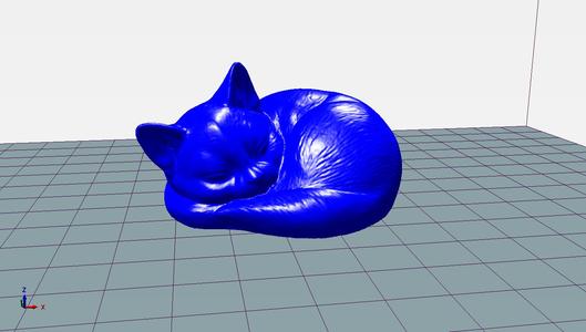 CAT SLEEPING
