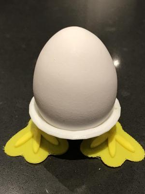 Egg Holder