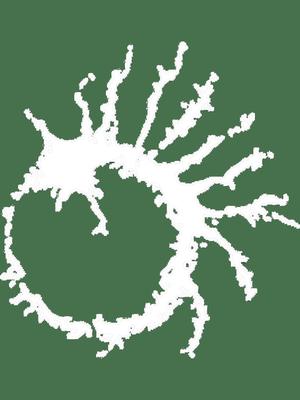 Servants of Death Mark - ELDEN RING