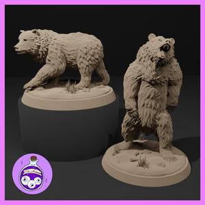 Grizzly Bear