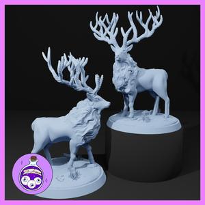 Stag