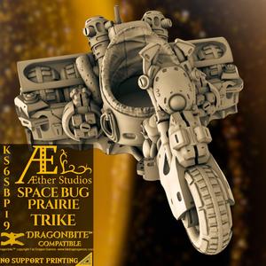 KS6SBP19 - Trike