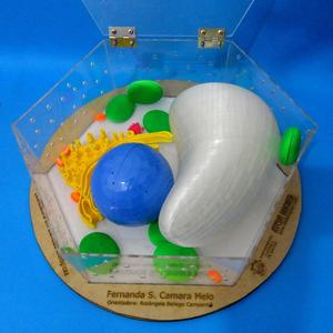 Plant Cell