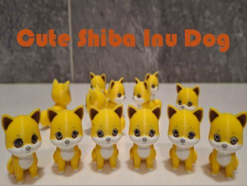Cute Shiba Inu Dog