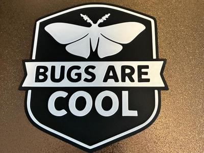 Bugs are Cool