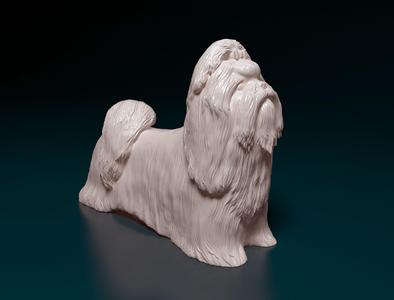 Shih Tzu