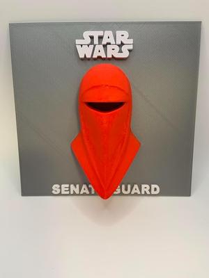 Star Wars - Senate Guard Helmet Display