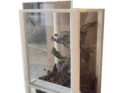 terrarium 15x15x20cm