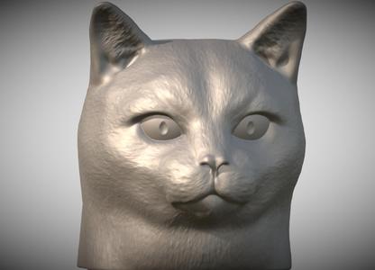 Domestic shorthair cat head for 3D printing