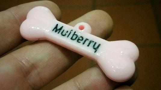 Dog bone tag generator