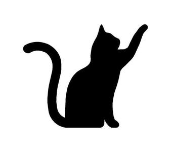 Black Cat 10