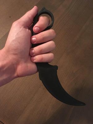 Training Karambit