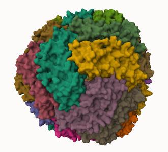 Ferritin