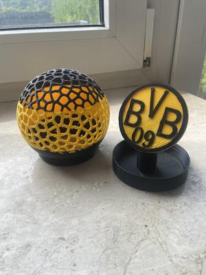 BVB ball money box Voronoi