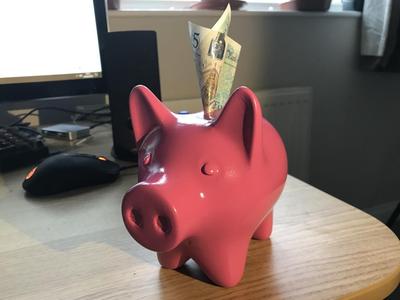 Porky Piggy Bank