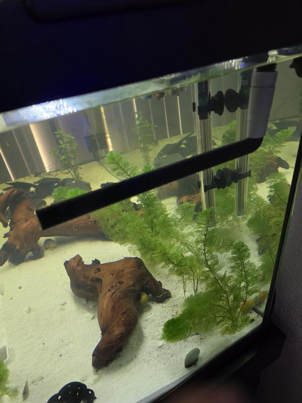Fluval 306 Canister Filter Output Nozzle Replacement - Spray Bar