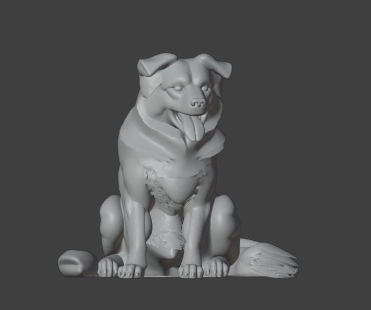 dog