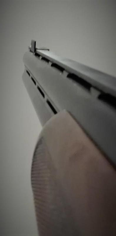 Shotgun mastereye blinker
