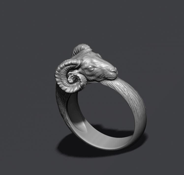 ram ring 3D print model