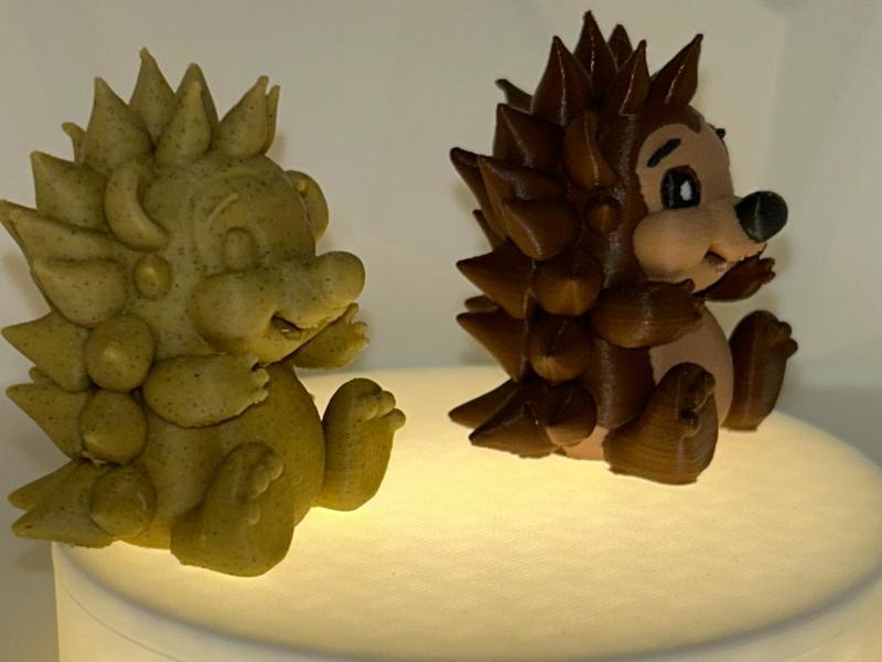 Adorable Little Hedgehog