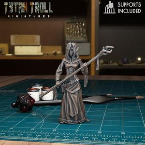 DnD Heroes - Elf Female Mage [Pre-Supported]