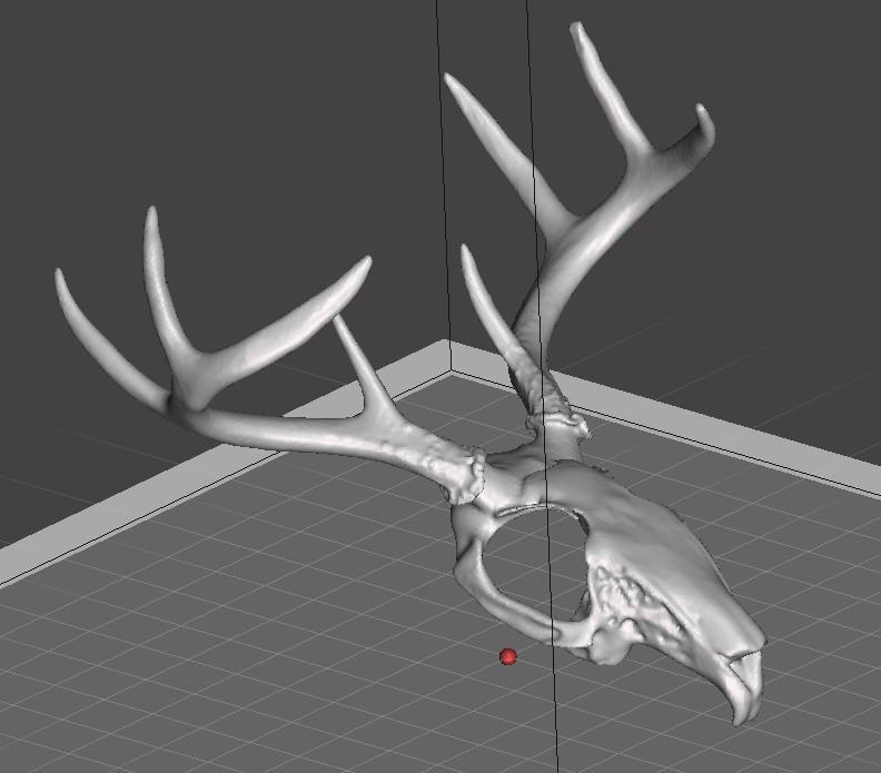 Jackelope Skull Mask