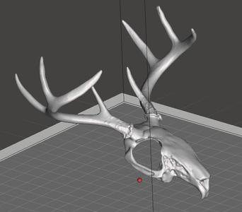 Jackelope Skull Mask