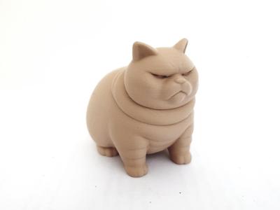 Angry Chonky Cat