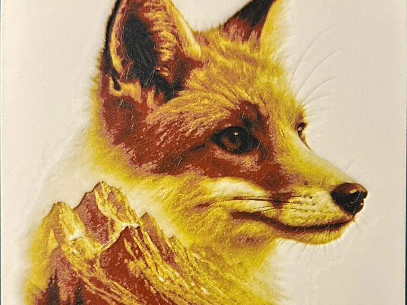 Fox Double Exposure - 5 Colors