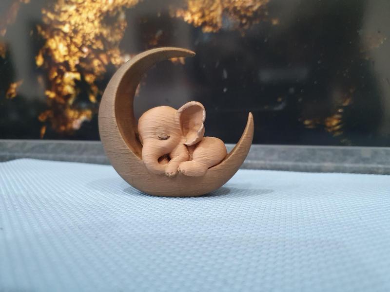 Sleeping elephant on the moon