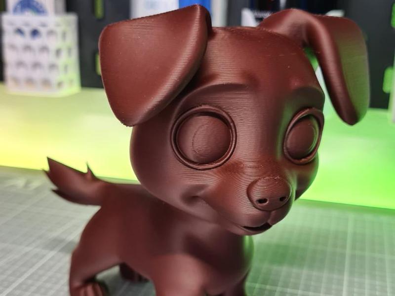 Little Dog 1