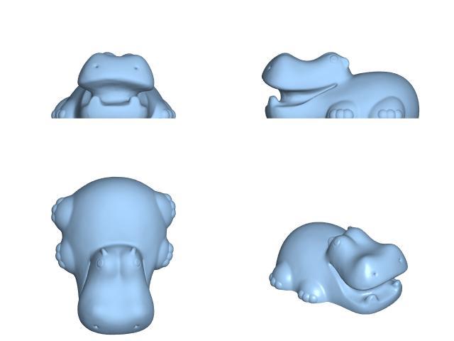 hippo hippopotamus 02