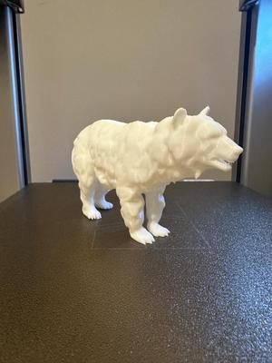 bear