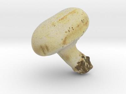 The White Mushroom