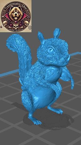 DND Animal - Squirrel