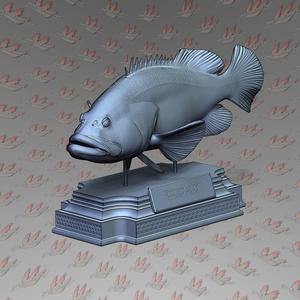 GROUPER