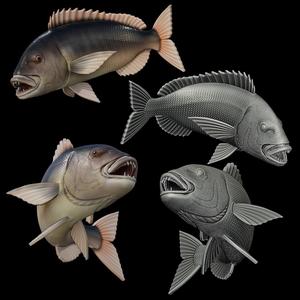 COMMON DENTEX / DENTEX DENTEX open mouth in motion fish model for 3D printing