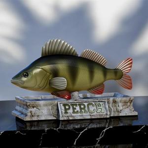 fish european perch / Perca fluviatilis statue stone base detailed texture for 3d printing