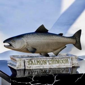 fish salmon chinook / Oncorhynchus tshawytscha stone base detailed texture for 3d printing