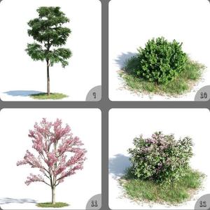 Pot Plant Tree Home Decor 3D Model 9-12
