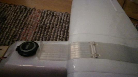 Mini talon Canopy with hinge