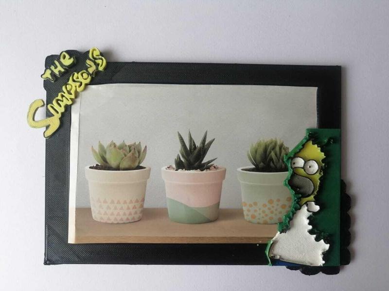 Homer simpson picture frame