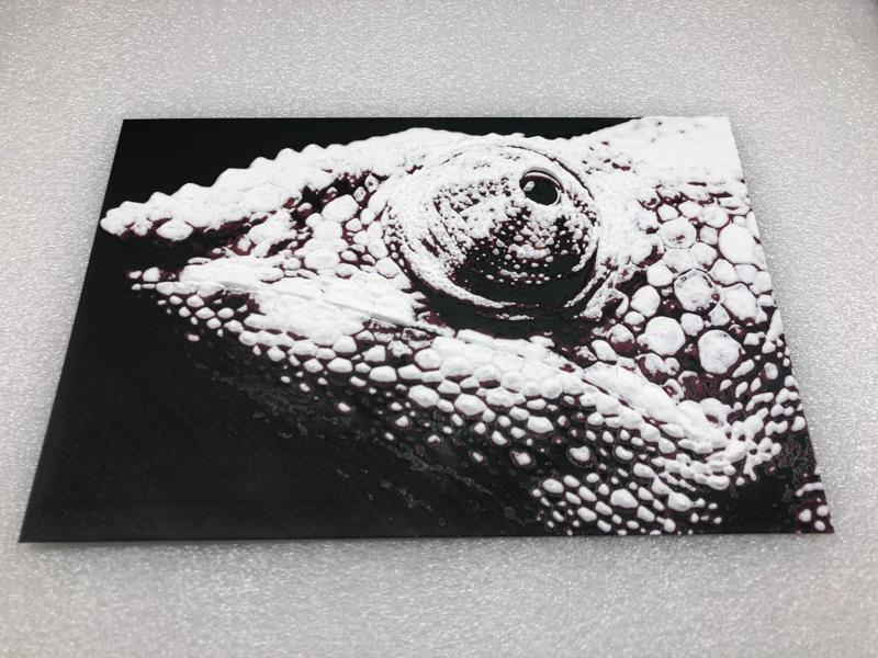 Chameleon hueforge 001