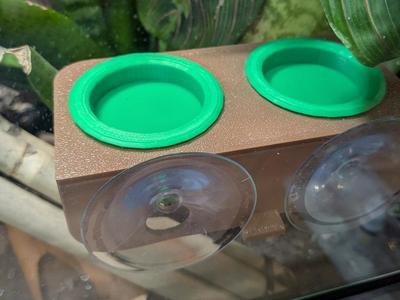 Gecko Feeding Ledge with Cups